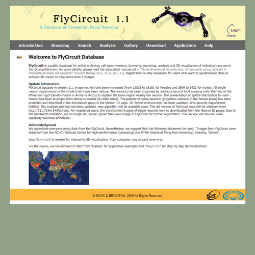 FlyCircuit Database