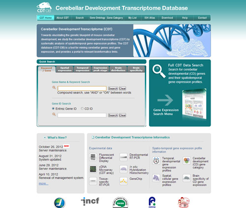 Cerebellar Development Transcriptome Database