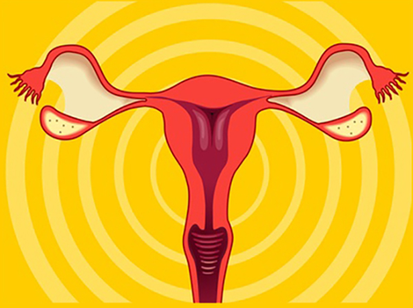 Ovarian Cancer Stem Cells: Unraveling a Germline Connection