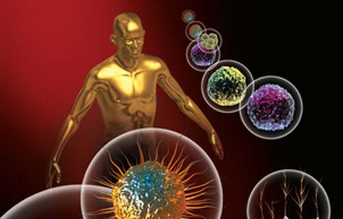 3d rendered depiction of Stem Cells and a human figure.