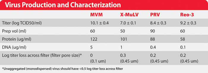 Virus Preparation for Filter Validation