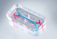 Cervix on a Chip Latest Advance for Women’s Health