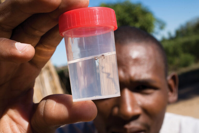 New Vaccine Expected to Play Major Role in Battle against Malaria