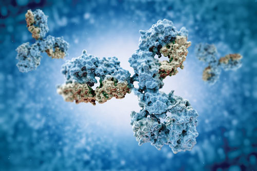 Newly Described Antibodies with “Special Shape” Could Unlock Vaccine Strategies for HIV, COVID