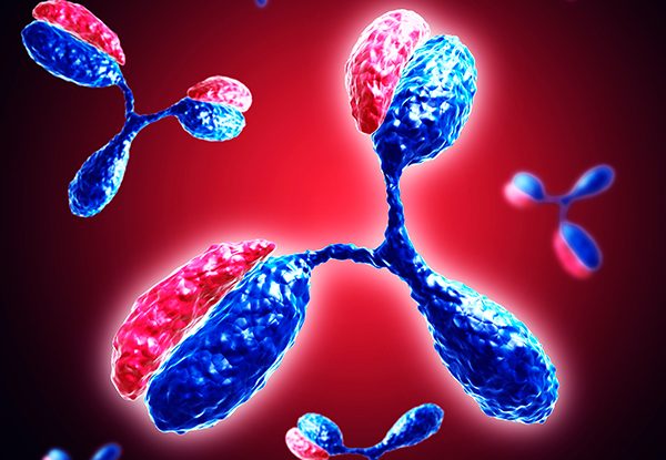 Growing Antibody Industry in China Sees Major Opportunities