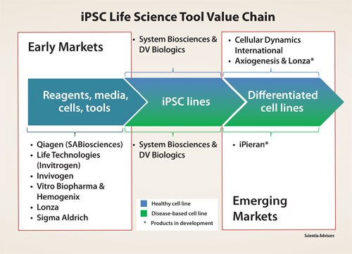 Demand Escalates for iPSC Life Science Tools