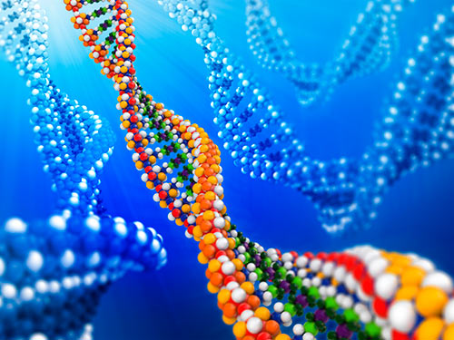 A CRISPR Look at Genome Editing