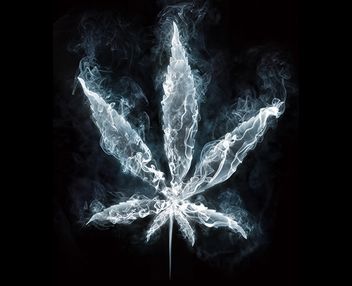 Cannabis Use Linked with Epigenetic Changes to Sperm