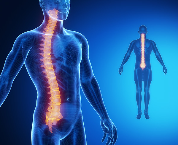Safety of Autologous Human Schwann Cell Transplantation for Spinal Cord Injuries