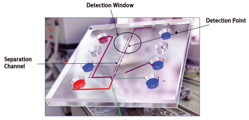 quality assessment of genomic dna