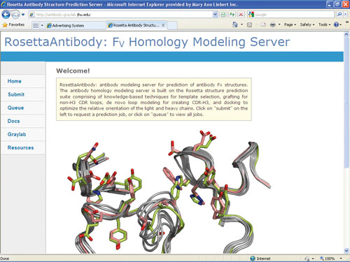 RosettaAntibody: Fv Homology Modeling Server