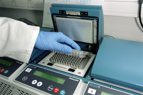 Development and Evolution of PCR
