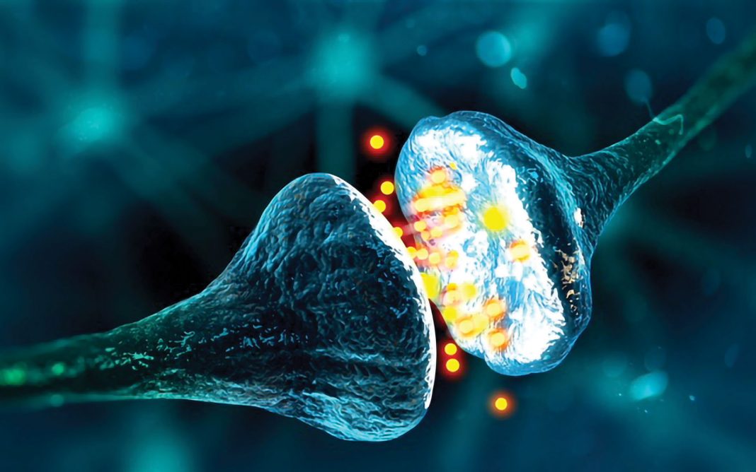 Synapse and Neuron cells sending electrical chemical signals