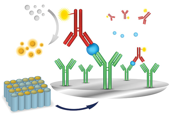 GEN Roundup: Multiplex Immunoassays Bring the Array, Not the Disarray