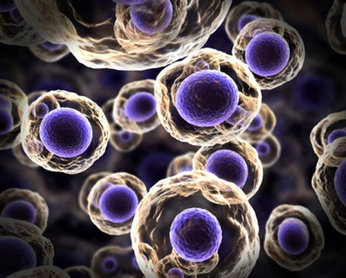 purple cells floating