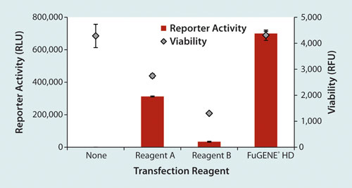 Utilizing FuGENE to Optimize Transfection