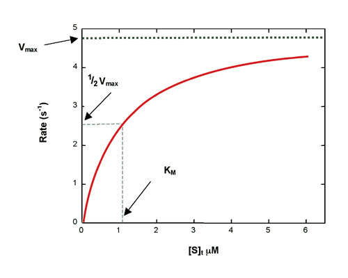 Using Isothermal Titration Calorimetry