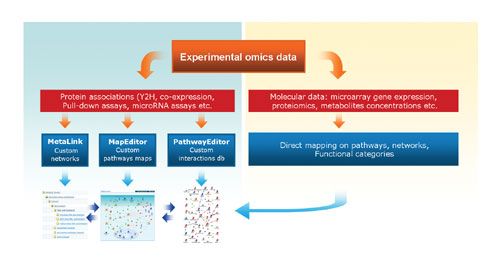 Systems Biology Tools Get Personal