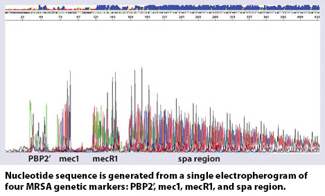 Identifying MRSA with Multiplex Sequencing