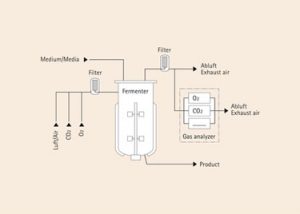 Process Off Gas Filter Off-Gas Analysis for Real-Time Process Control