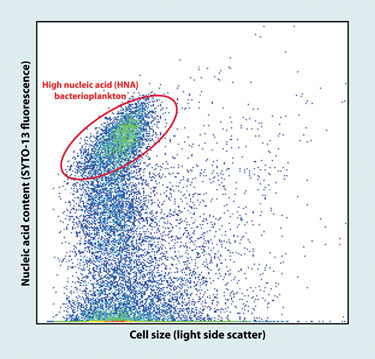 Single-Cell Genomics Clarifies Big Picture