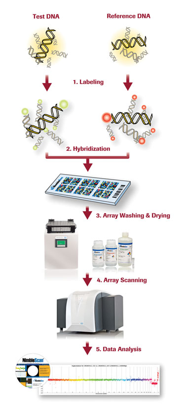 Solutions for DNA Copy-Number Analysis