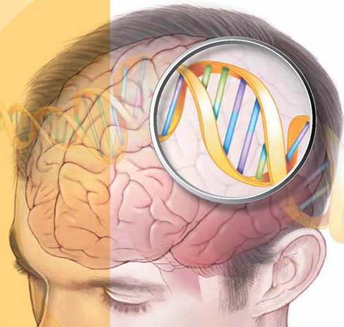 Mental Standard: Genetic Testing of Neurological Diseases