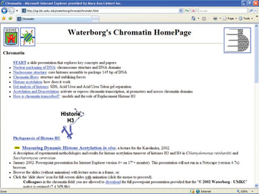 Waterborg’s Chromatin HomePage