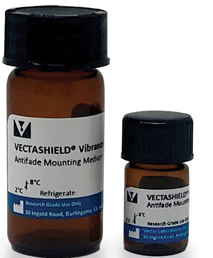 Vectashield® Vibrance™