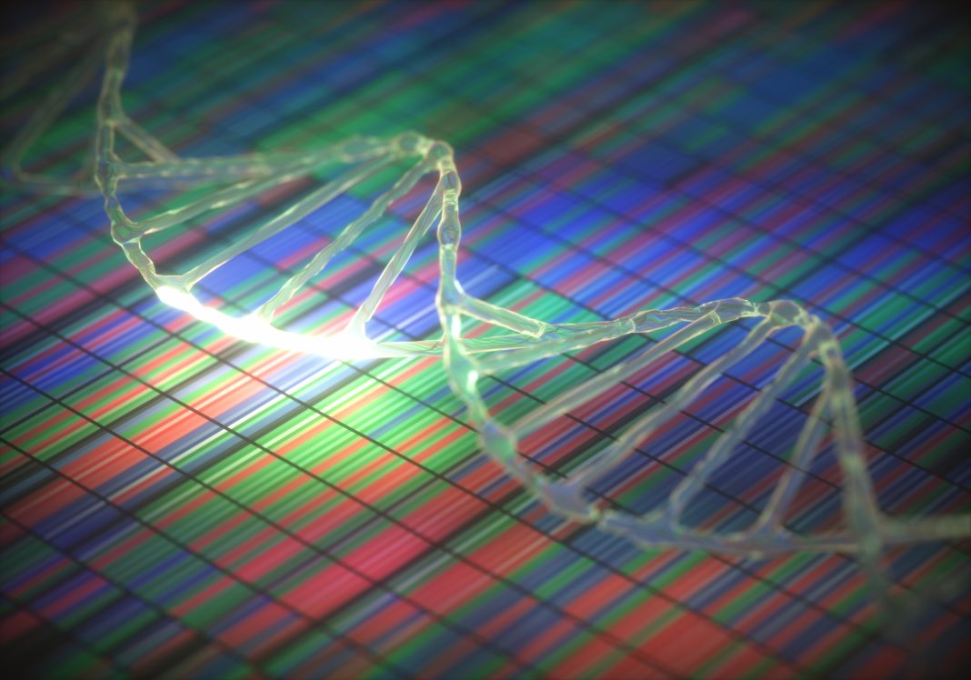 DNA sequencing and DNA strand