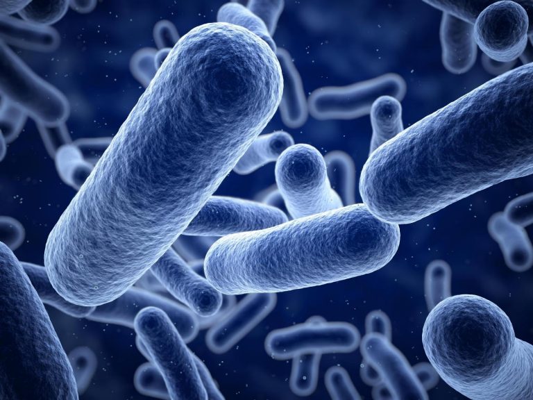 Microbiome Activity Revealed by New tRNA Sequencing Approach