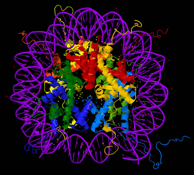 Biological Age Revealed by Epigenomic Packaging of Blood’s Cell-Free DNA