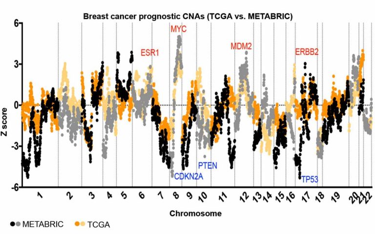 Novel Prognostic Biomarkers Discovered in Specific Cancer Types
