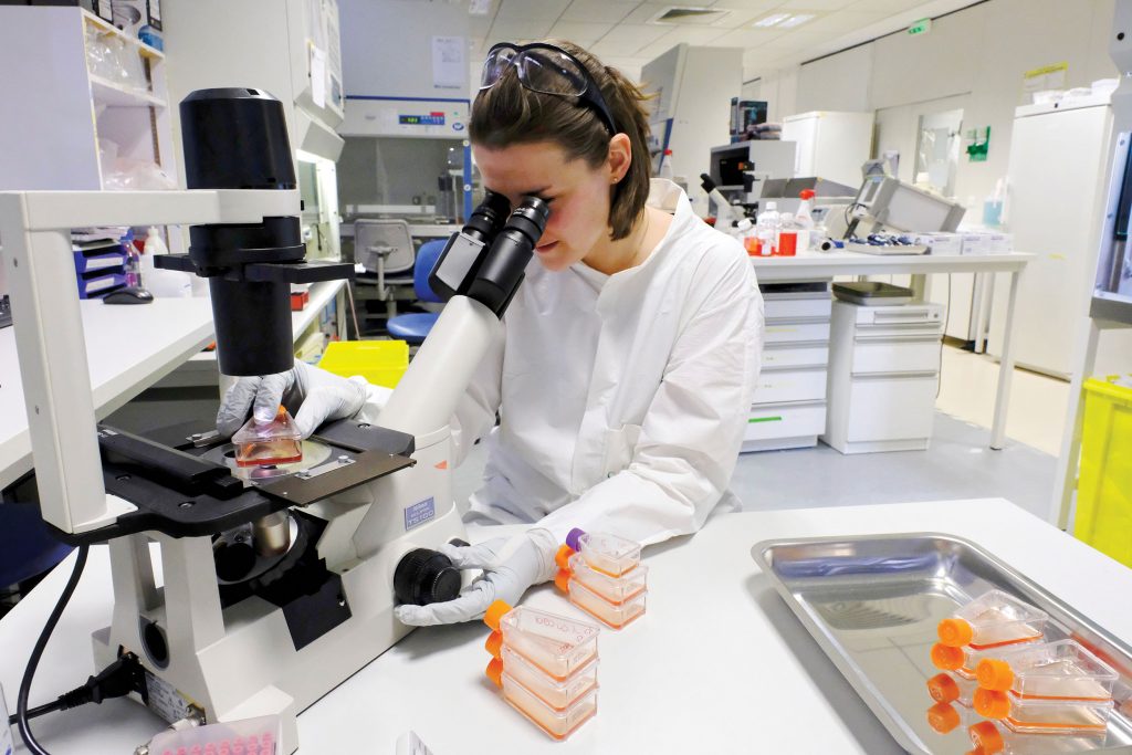 Cellectis lab