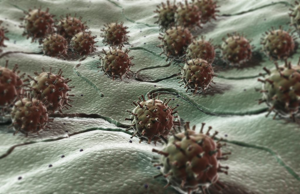 Virus