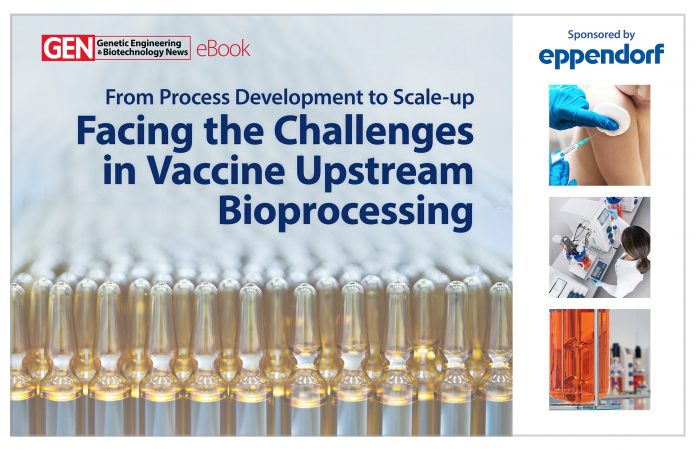 From Process Development to Scale-up… Facing the Challenges in Vaccine Upstream Bioprocessing eBook Cover
