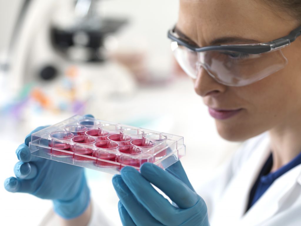 Scientist holding stem cells