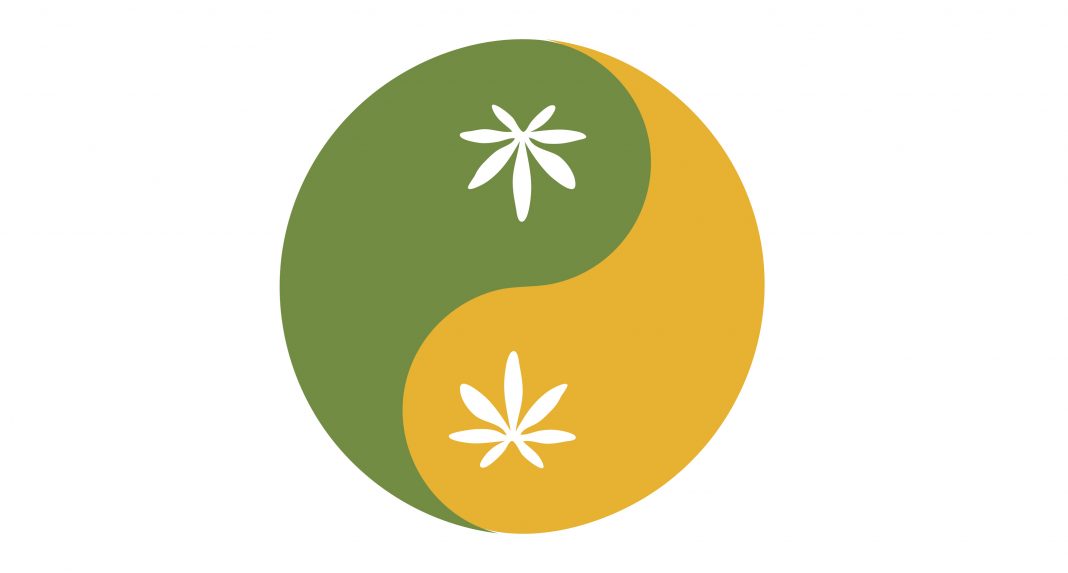 Yin and yang symbol also known as Taijitu as a symbol of harmony with cannabis leaf.