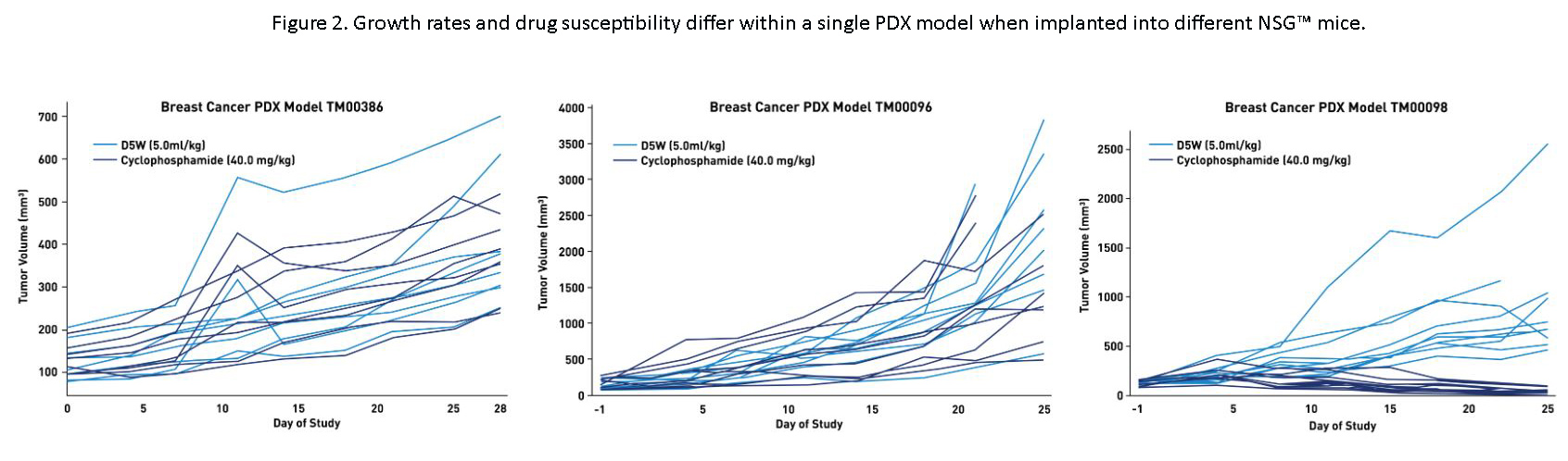 Figure 2. Growth rates and drug susceptibility differ within a single PDX model when implanted into different NSG™ mice.