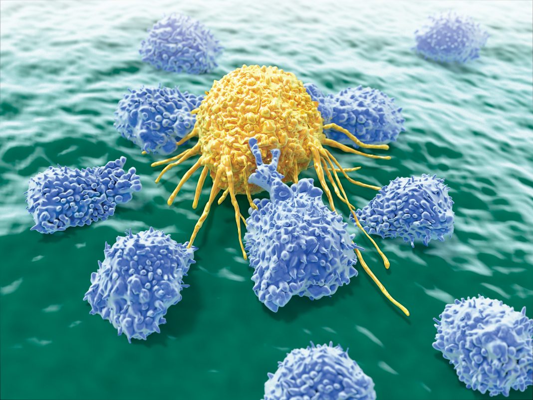 lymphocytes attacking a cancer cell