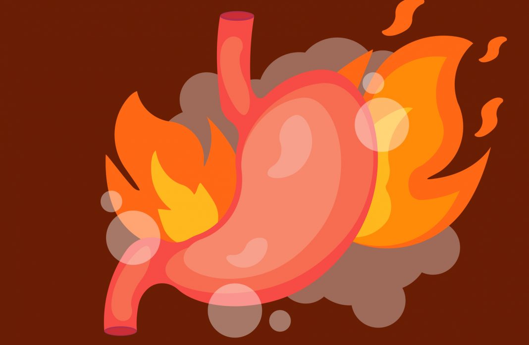 Stomach heartburn. Stomach with Fire. isolated on white background. Vector illustration.