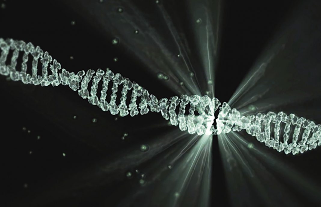 Illuminating DNA