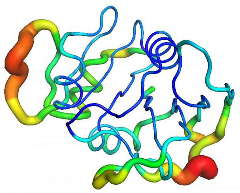 Dihydrofolate reductase illustration
