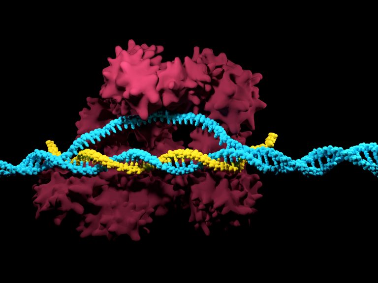 How CRISPR Is Revolutionizing Screening Technology