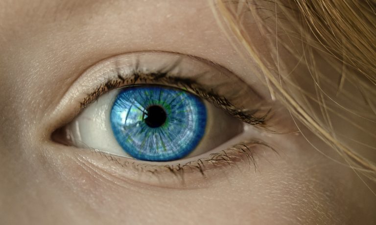 Vision Loss Sees New Therapy through Calming Hyperactive Eye Cells