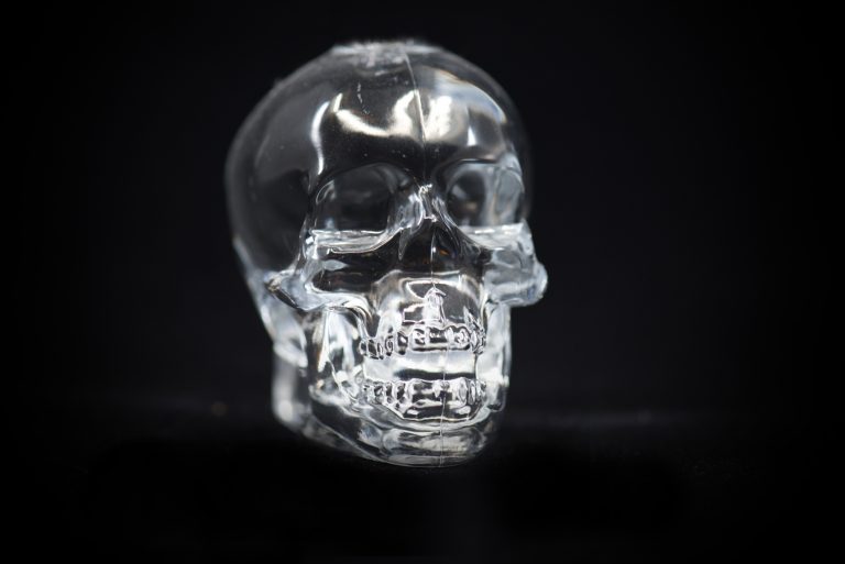 3D-printed Transparent Skull Viewed as Major Development for Advancing Brain Research