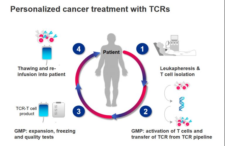 Roivant’s Latest “Vant” Launches $1B+ TCR Immunotherapy Partnership with Medigene