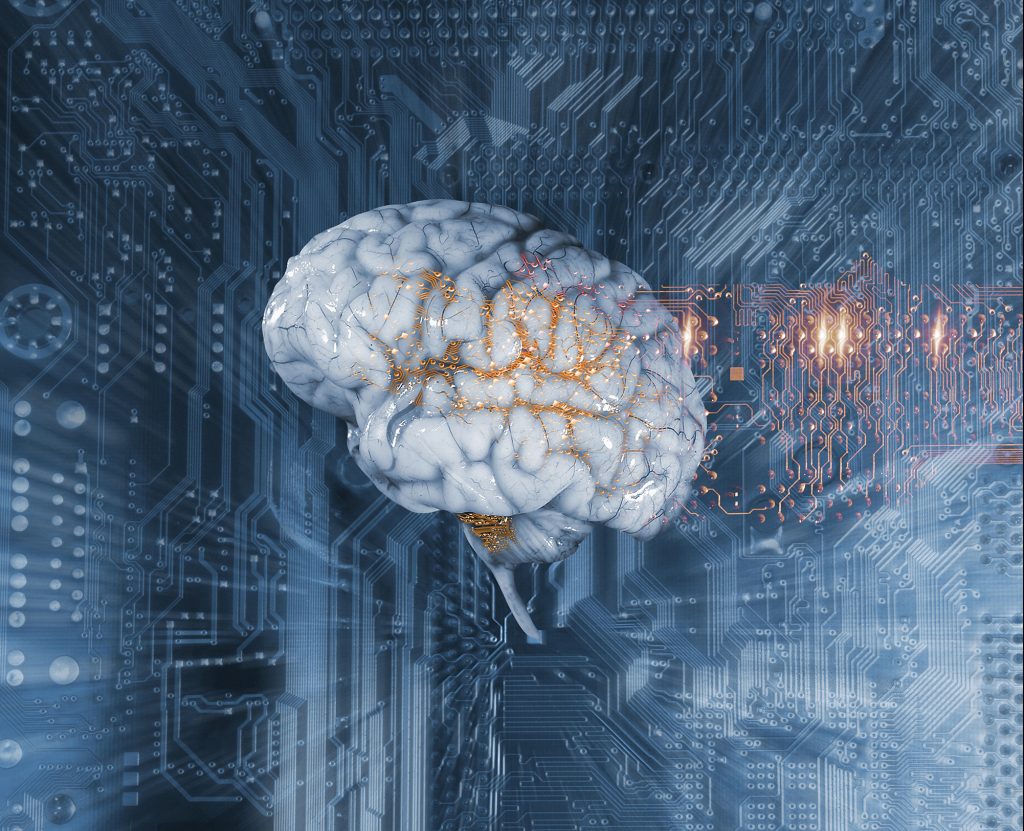 Human brain and circuit board, illustration