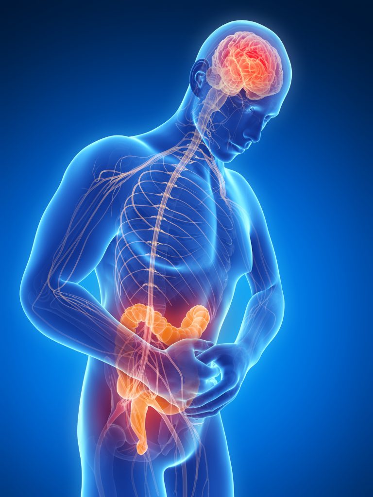 Human intestinal pain, illustration
