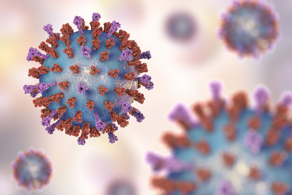 Respiratory syncytial virus, illustration